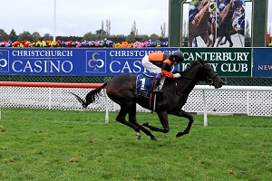 MADAM VICTORIA Warstep web